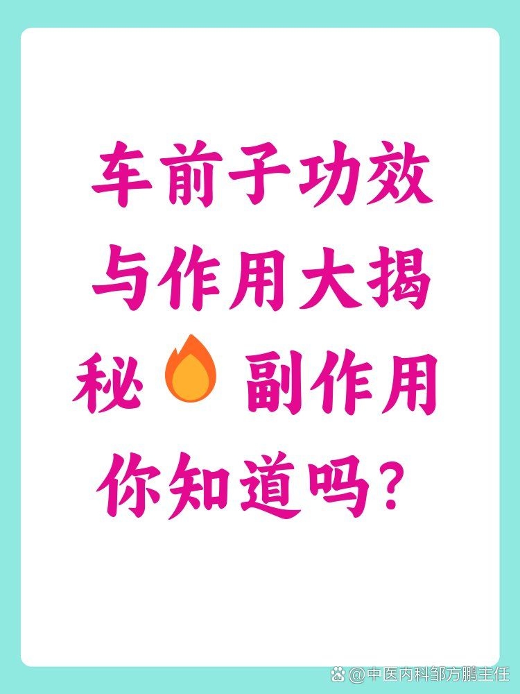 車前子有哪些副作用？（車前子使用禁忌速查表） 行業(yè)新聞 第2張
