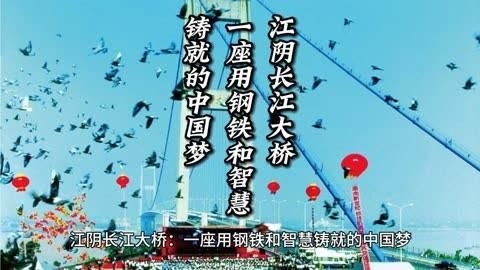 給我一些鋼結(jié)構(gòu)橋梁的案例