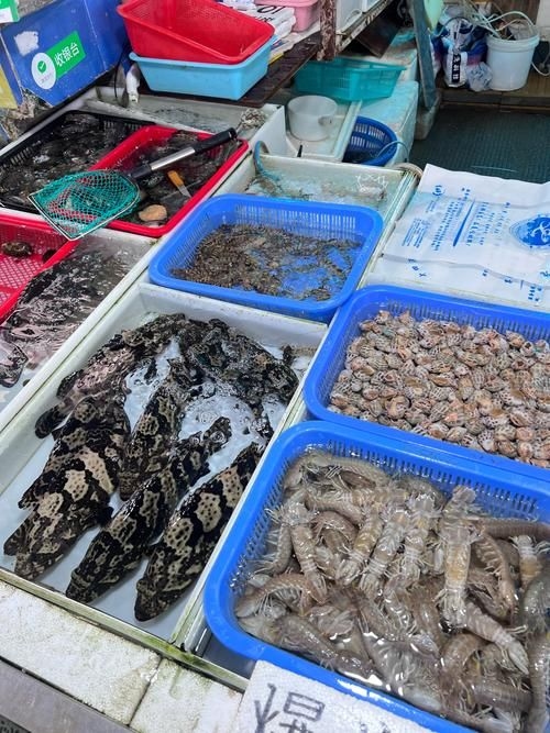 武漢觀賞魚批發(fā)市場 行業(yè)新聞 第3張 武漢觀賞魚批發(fā)市場 行業(yè)新聞 第3張