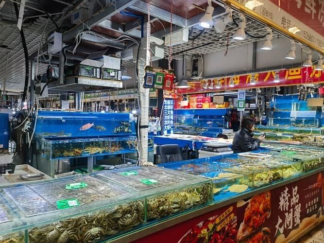 武漢觀賞魚批發(fā)市場 行業(yè)新聞 第4張 武漢觀賞魚批發(fā)市場 行業(yè)新聞 第4張