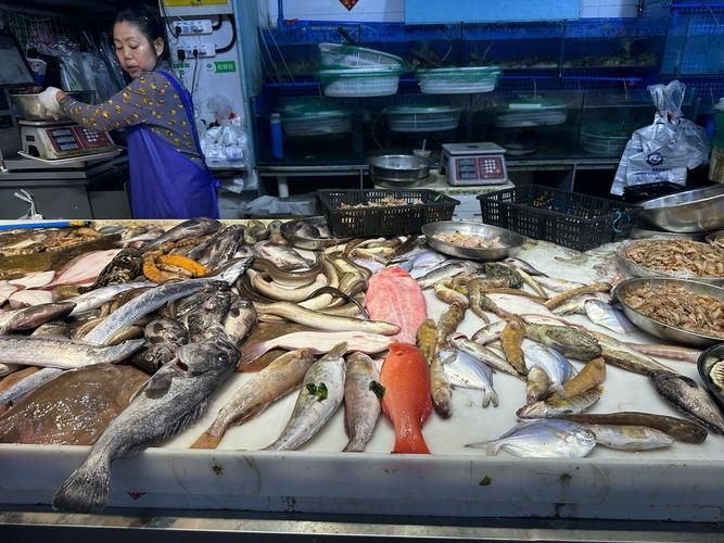 武漢觀賞魚批發(fā)市場 行業(yè)新聞 第11張 武漢觀賞魚批發(fā)市場 行業(yè)新聞 第11張