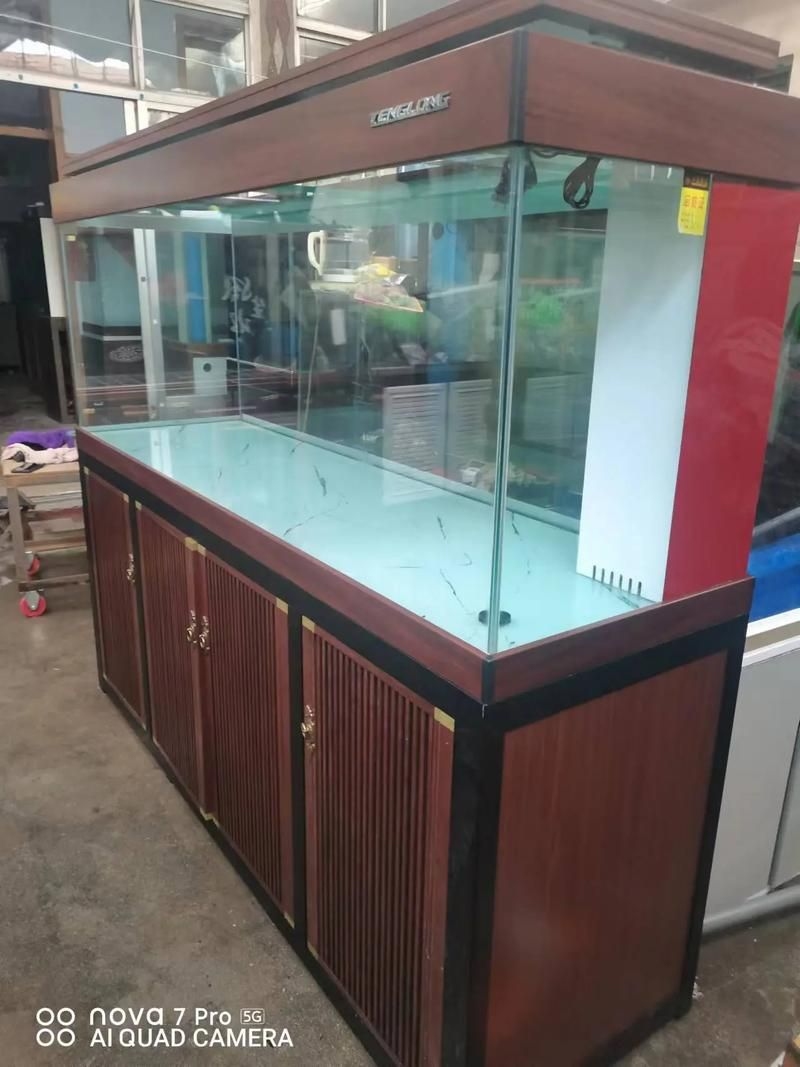 佛山魚缸批發(fā)市場(佛山魚缸批發(fā)市場1.高端龍魚品牌祥龍魚場-) 行業(yè)新聞 第2張 佛山魚缸批發(fā)市場(佛山魚缸批發(fā)市場1.高端龍魚品牌祥龍魚場-) 行業(yè)新聞 第2張