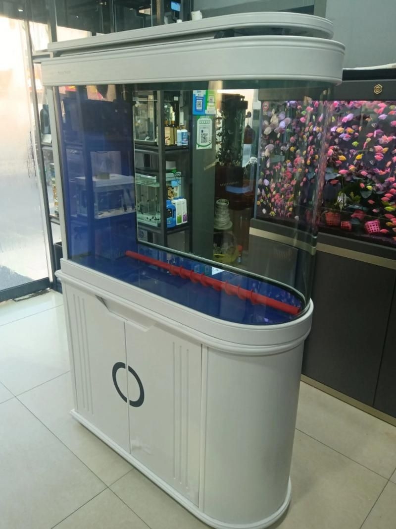 佛山魚缸批發(fā)市場(佛山魚缸批發(fā)市場1.高端龍魚品牌祥龍魚場-) 行業(yè)新聞 第5張 佛山魚缸批發(fā)市場(佛山魚缸批發(fā)市場1.高端龍魚品牌祥龍魚場-) 行業(yè)新聞 第5張