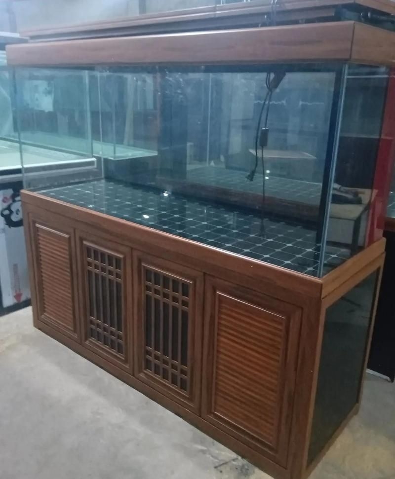 佛山魚缸批發(fā)市場(佛山魚缸批發(fā)市場1.高端龍魚品牌祥龍魚場-) 行業(yè)新聞 第12張 佛山魚缸批發(fā)市場(佛山魚缸批發(fā)市場1.高端龍魚品牌祥龍魚場-) 行業(yè)新聞 第12張