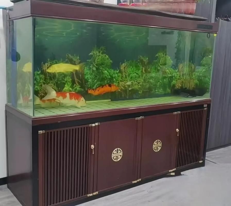 佛山魚缸批發(fā)市場(佛山魚缸批發(fā)市場1.高端龍魚品牌祥龍魚場-) 行業(yè)新聞 第15張 佛山魚缸批發(fā)市場(佛山魚缸批發(fā)市場1.高端龍魚品牌祥龍魚場-) 行業(yè)新聞 第15張