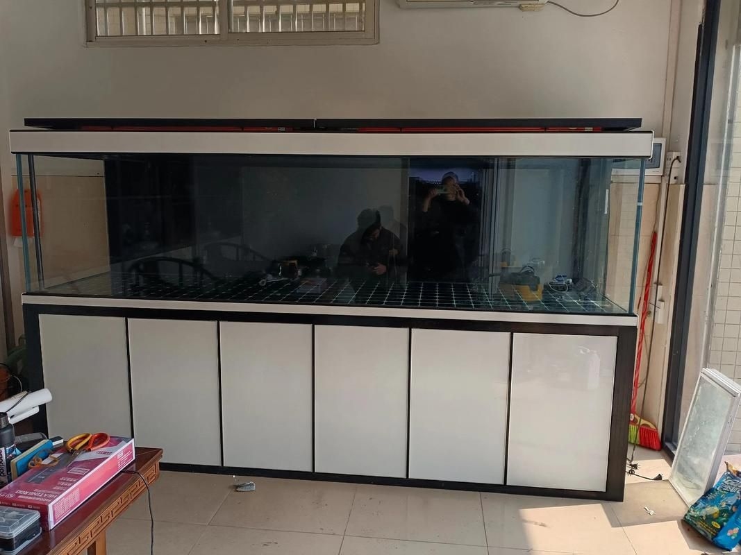 佛山魚缸批發(fā)市場（佛山魚缸批發(fā)市場1.高端龍魚品牌祥龍魚場-） 行業(yè)新聞 第18張