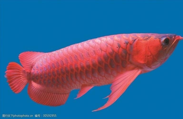 宜賓魚缸批發(fā)市場（如何聯(lián)系宜賓魚缸批發(fā)市場） 行業(yè)新聞 第5張