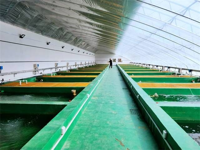 駐馬店魚缸批發(fā)市場 行業(yè)新聞 第3張 駐馬店魚缸批發(fā)市場 行業(yè)新聞 第3張