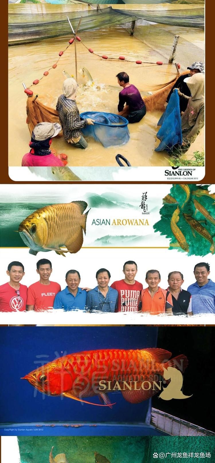 九江觀賞魚批發(fā)市場(九江觀賞魚批發(fā)市場和祥龍魚場有哪些品牌營銷策略) 行業(yè)新聞 第3張 九江觀賞魚批發(fā)市場(九江觀賞魚批發(fā)市場和祥龍魚場有哪些品牌營銷策略) 行業(yè)新聞 第3張