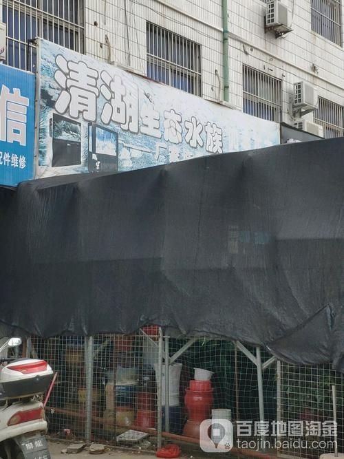 許昌水族批發(fā)市場（許昌水族批發(fā)市場和祥龍魚場的分析來啦，我?guī)湍闶崂砹撕诵男畔⒑蛨D文資料）