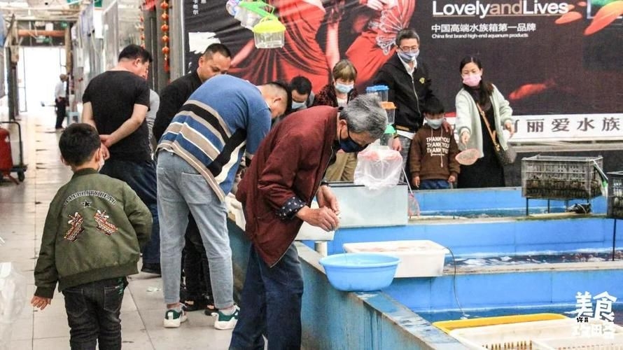 許昌水族批發(fā)市場(chǎng)（許昌水族批發(fā)市場(chǎng)和祥龍魚場(chǎng)的分析來啦，我?guī)湍闶崂砹撕诵男畔⒑蛨D文資料） 行業(yè)新聞 第2張