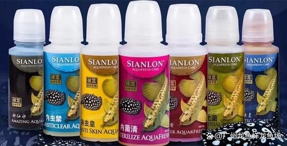 許昌水族批發(fā)市場(chǎng)（許昌水族批發(fā)市場(chǎng)和祥龍魚場(chǎng)的分析來啦，我?guī)湍闶崂砹撕诵男畔⒑蛨D文資料） 行業(yè)新聞 第13張