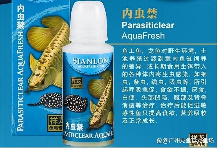 許昌水族批發(fā)市場(chǎng)（許昌水族批發(fā)市場(chǎng)和祥龍魚場(chǎng)的分析來啦，我?guī)湍闶崂砹撕诵男畔⒑蛨D文資料） 行業(yè)新聞 第15張