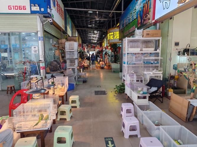 安慶觀賞魚批發(fā)市場 行業(yè)新聞 第6張 安慶觀賞魚批發(fā)市場 行業(yè)新聞 第6張