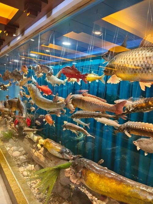 安慶觀賞魚批發(fā)市場 行業(yè)新聞 第7張 安慶觀賞魚批發(fā)市場 行業(yè)新聞 第7張