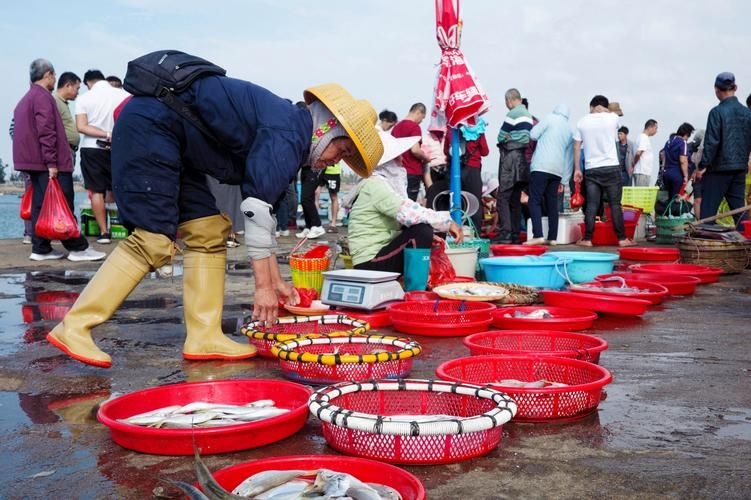 安慶觀賞魚批發(fā)市場 行業(yè)新聞 第10張