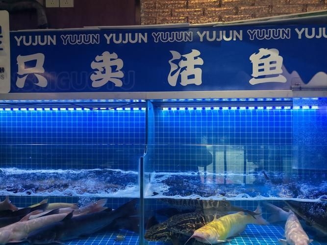 菏澤龍魚(yú)批發(fā)市場(chǎng)(菏澤龍魚(yú)批發(fā)市場(chǎng)1.高端龍魚(yú)品牌祥龍魚(yú)場(chǎng)-) 行業(yè)新聞 第3張 菏澤龍魚(yú)批發(fā)市場(chǎng)(菏澤龍魚(yú)批發(fā)市場(chǎng)1.高端龍魚(yú)品牌祥龍魚(yú)場(chǎng)-) 行業(yè)新聞 第3張