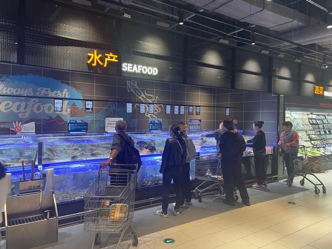 菏澤龍魚(yú)批發(fā)市場(chǎng)(菏澤龍魚(yú)批發(fā)市場(chǎng)1.高端龍魚(yú)品牌祥龍魚(yú)場(chǎng)-) 行業(yè)新聞 第12張 菏澤龍魚(yú)批發(fā)市場(chǎng)(菏澤龍魚(yú)批發(fā)市場(chǎng)1.高端龍魚(yú)品牌祥龍魚(yú)場(chǎng)-) 行業(yè)新聞 第12張