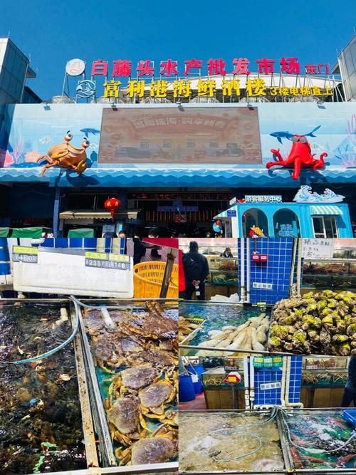 菏澤龍魚(yú)批發(fā)市場(chǎng)(菏澤龍魚(yú)批發(fā)市場(chǎng)1.高端龍魚(yú)品牌祥龍魚(yú)場(chǎng)-) 行業(yè)新聞 第15張 菏澤龍魚(yú)批發(fā)市場(chǎng)(菏澤龍魚(yú)批發(fā)市場(chǎng)1.高端龍魚(yú)品牌祥龍魚(yú)場(chǎng)-) 行業(yè)新聞 第15張