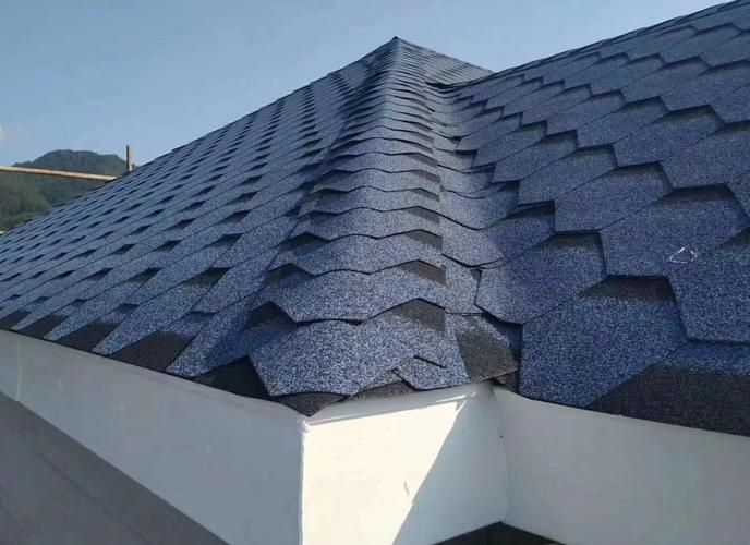 給我一些民用鋼結(jié)構(gòu)屋頂?shù)膱D片(民用鋼結(jié)構(gòu)屋頂實(shí)拍圖) 行業(yè)新聞 第13張 給我一些民用鋼結(jié)構(gòu)屋頂?shù)膱D片(民用鋼結(jié)構(gòu)屋頂實(shí)拍圖) 行業(yè)新聞 第13張