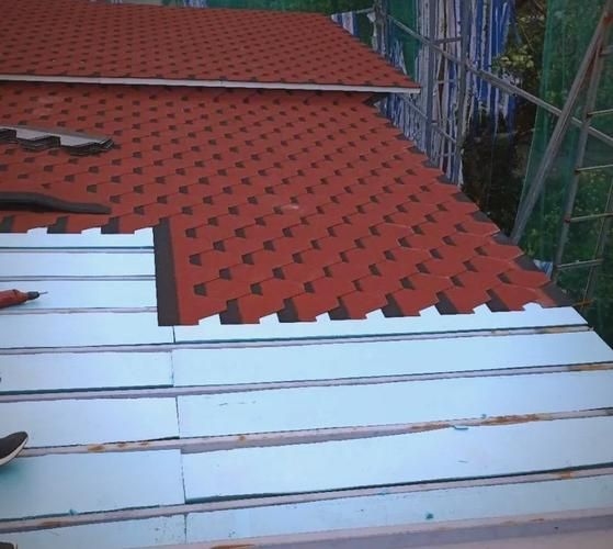 給我一些民用鋼結(jié)構(gòu)屋頂?shù)膱D片(民用鋼結(jié)構(gòu)屋頂實(shí)拍圖) 行業(yè)新聞 第22張 給我一些民用鋼結(jié)構(gòu)屋頂?shù)膱D片(民用鋼結(jié)構(gòu)屋頂實(shí)拍圖) 行業(yè)新聞 第22張