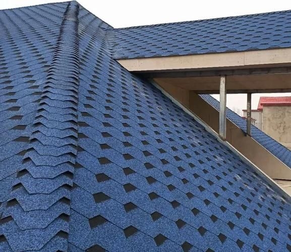 給我一些民用鋼結(jié)構(gòu)屋頂?shù)膱D片(民用鋼結(jié)構(gòu)屋頂實(shí)拍圖) 行業(yè)新聞 第23張 給我一些民用鋼結(jié)構(gòu)屋頂?shù)膱D片(民用鋼結(jié)構(gòu)屋頂實(shí)拍圖) 行業(yè)新聞 第23張