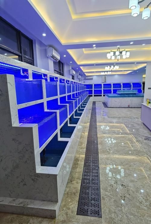 滁州魚缸批發(fā)市場(滁州魚缸批發(fā)市場和祥龍魚場的營銷策略幫你整理得明明白白) 行業(yè)新聞 第9張 滁州魚缸批發(fā)市場(滁州魚缸批發(fā)市場和祥龍魚場的營銷策略幫你整理得明明白白) 行業(yè)新聞 第9張