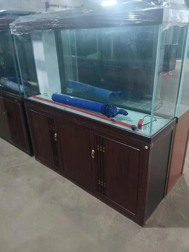 滁州魚缸批發(fā)市場(滁州魚缸批發(fā)市場和祥龍魚場的營銷策略幫你整理得明明白白) 行業(yè)新聞 第10張 滁州魚缸批發(fā)市場(滁州魚缸批發(fā)市場和祥龍魚場的營銷策略幫你整理得明明白白) 行業(yè)新聞 第10張