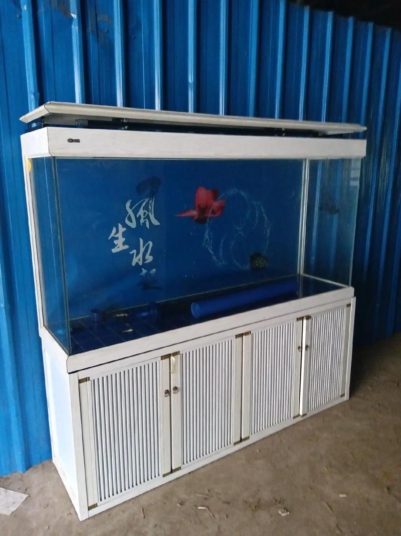 滁州魚缸批發(fā)市場(滁州魚缸批發(fā)市場和祥龍魚場的營銷策略幫你整理得明明白白) 行業(yè)新聞 第11張 滁州魚缸批發(fā)市場(滁州魚缸批發(fā)市場和祥龍魚場的營銷策略幫你整理得明明白白) 行業(yè)新聞 第11張