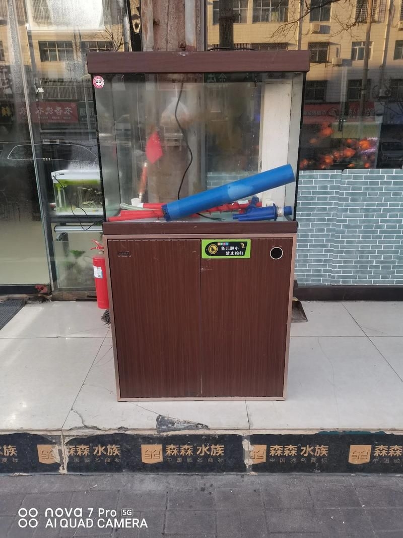 滁州魚缸批發(fā)市場(滁州魚缸批發(fā)市場和祥龍魚場的營銷策略幫你整理得明明白白) 行業(yè)新聞 第12張 滁州魚缸批發(fā)市場(滁州魚缸批發(fā)市場和祥龍魚場的營銷策略幫你整理得明明白白) 行業(yè)新聞 第12張