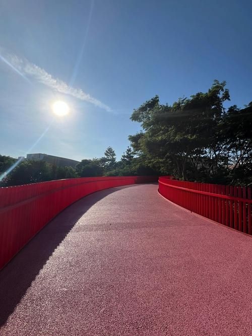 給我推薦一些經(jīng)典的鋼結(jié)構(gòu)景觀橋案例（給我推薦一些經(jīng)典的鋼結(jié)構(gòu)景觀橋案例,嘿，看來你對景觀橋很感興趣） 行業(yè)新聞 第2張