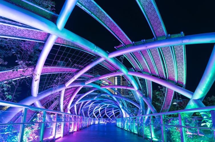 給我推薦一些經(jīng)典的鋼結(jié)構(gòu)景觀橋案例（給我推薦一些經(jīng)典的鋼結(jié)構(gòu)景觀橋案例,嘿，看來你對景觀橋很感興趣） 行業(yè)新聞 第4張