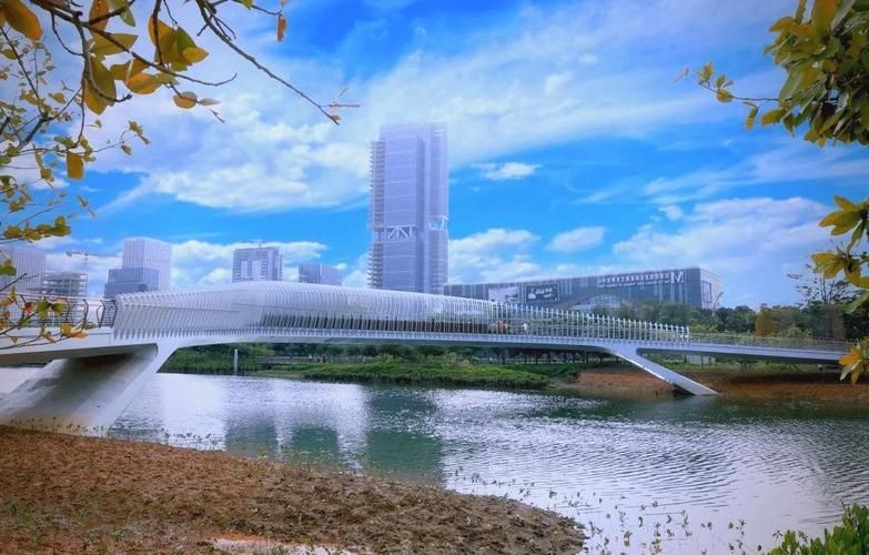 給我推薦一些經(jīng)典的鋼結(jié)構(gòu)景觀橋案例（給我推薦一些經(jīng)典的鋼結(jié)構(gòu)景觀橋案例,嘿，看來你對景觀橋很感興趣） 行業(yè)新聞 第8張