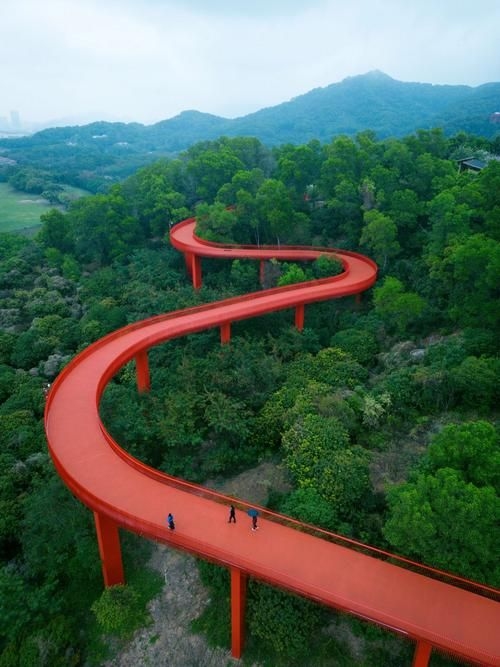 給我推薦一些經(jīng)典的鋼結(jié)構(gòu)景觀橋案例（給我推薦一些經(jīng)典的鋼結(jié)構(gòu)景觀橋案例,嘿，看來你對景觀橋很感興趣） 行業(yè)新聞 第10張