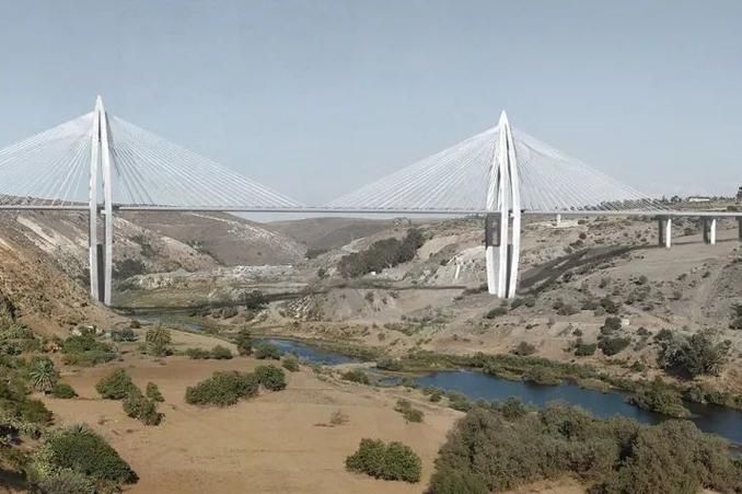 給我推薦一些經(jīng)典的鋼結(jié)構(gòu)景觀橋案例（給我推薦一些經(jīng)典的鋼結(jié)構(gòu)景觀橋案例,嘿，看來你對景觀橋很感興趣） 行業(yè)新聞 第17張