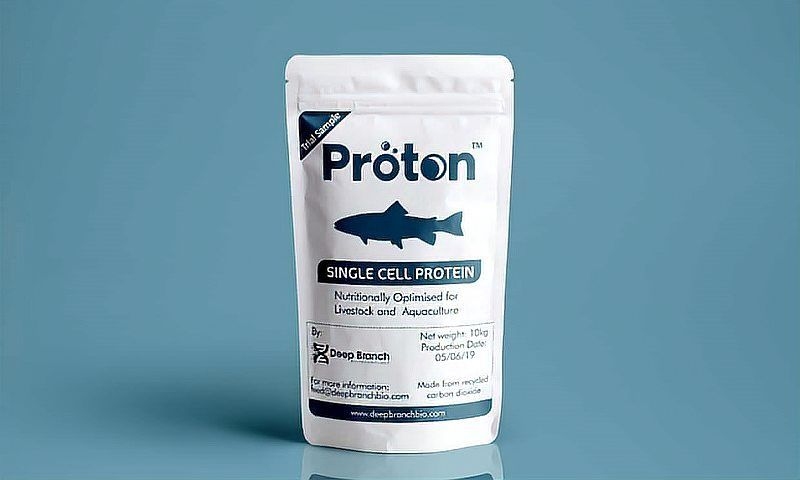 空心碳的應(yīng)用有哪些？（空心碳在燃料電池中的具體制備方法） 行業(yè)新聞 第1張