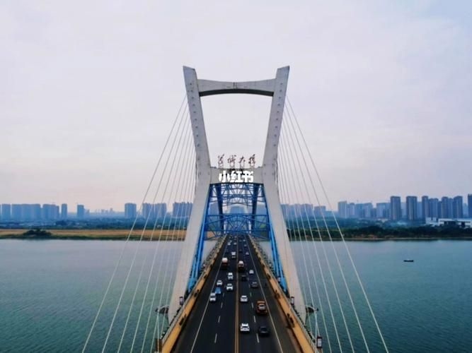 給我推薦一些經(jīng)典的橋梁鋼結(jié)構(gòu)案例（有聲書:橋梁鋼結(jié)構(gòu)） 行業(yè)新聞 第19張