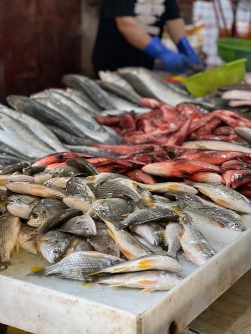 喀什地區(qū)水族批發(fā)市場 行業(yè)新聞 第2張 喀什地區(qū)水族批發(fā)市場 行業(yè)新聞 第2張