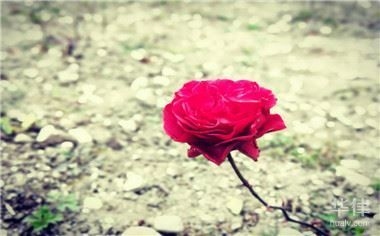 如何證明開(kāi)發(fā)商存在欺詐行為？ 行業(yè)新聞 第2張