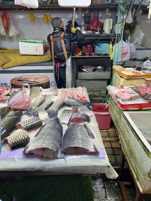 宜賓龍魚批發(fā)市場(宜賓龍魚批發(fā)市場分析) 行業(yè)新聞 第3張 宜賓龍魚批發(fā)市場(宜賓龍魚批發(fā)市場分析) 行業(yè)新聞 第3張