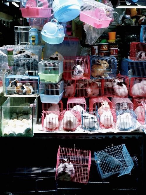 昆明觀賞魚批發(fā)市場 行業(yè)新聞 第4張 昆明觀賞魚批發(fā)市場 行業(yè)新聞 第4張