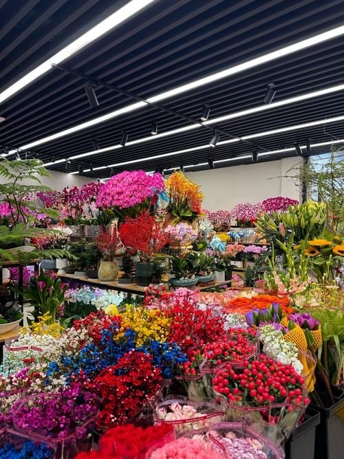 昆明觀賞魚批發(fā)市場 行業(yè)新聞 第12張 昆明觀賞魚批發(fā)市場 行業(yè)新聞 第12張