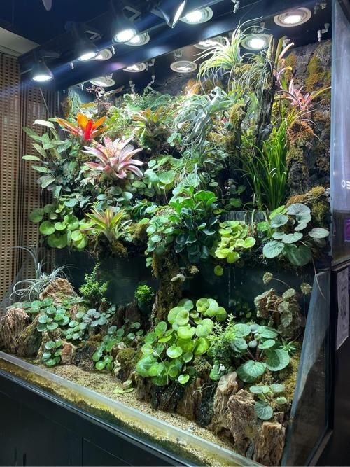 昆明觀賞魚批發(fā)市場 行業(yè)新聞 第19張 昆明觀賞魚批發(fā)市場 行業(yè)新聞 第19張