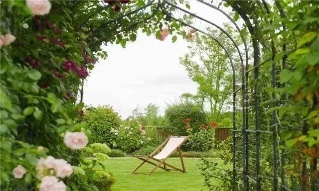 如何選擇適合別墅花園的植物？ 行業(yè)新聞 第1張