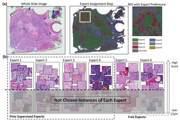 2026年莫斯科鋼結(jié)構(gòu)展的亮點(diǎn)是什么 行業(yè)新聞 第1張 2026年莫斯科鋼結(jié)構(gòu)展的亮點(diǎn)是什么 行業(yè)新聞 第1張