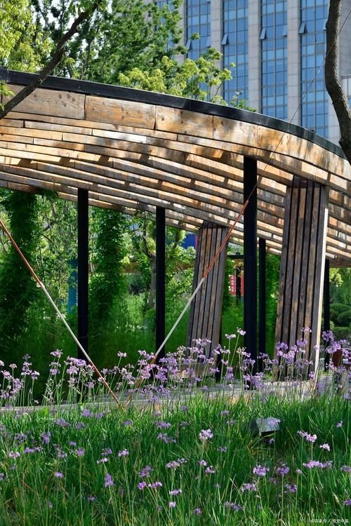 如何找到高清的景觀廊架圖片？（如何找到高清景觀廊架圖片）