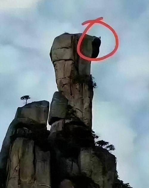 這些案例中哪個(gè)最有影響力？（“巨蟒峰案”最具影響力） 行業(yè)新聞 第2張