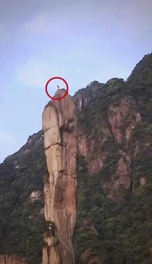 這些案例中哪個(gè)最有影響力？（“巨蟒峰案”最具影響力） 行業(yè)新聞 第4張