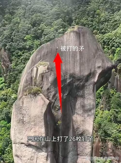 這些案例中哪個(gè)最有影響力？（“巨蟒峰案”最具影響力） 行業(yè)新聞 第5張