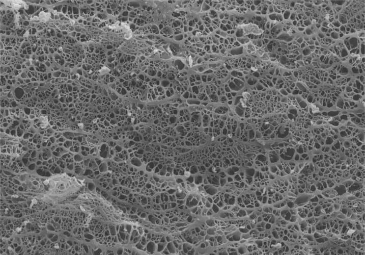 如何確定合適的水灰比？（如何確定水灰比） 行業(yè)新聞 第9張